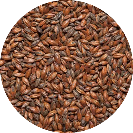 Шоколадный 900 ЕВС, Курский солод (1кг)
