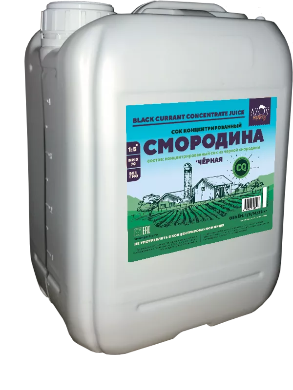 Концентрированный сок Черной Смородины (1кг)