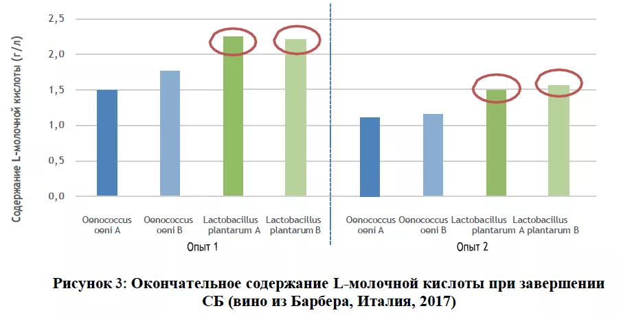 рис3.png